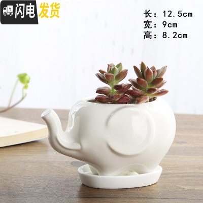 三维工匠卡通可爱萌多肉花盆小号植物白色陶瓷创意简约拇指盆 FP-12+托不含植物 小花盆容器