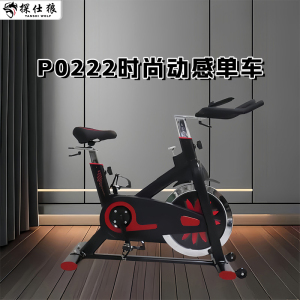 探仕狼 动感单车家用健身车健身单车健身运动器材 P0222