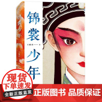 正版锦裳少年王璐琪接力出版社以昆曲作为创作题材的小说中国传统文化青少年读懂昆曲10-14岁儿童文学小学生三四五六年级课外