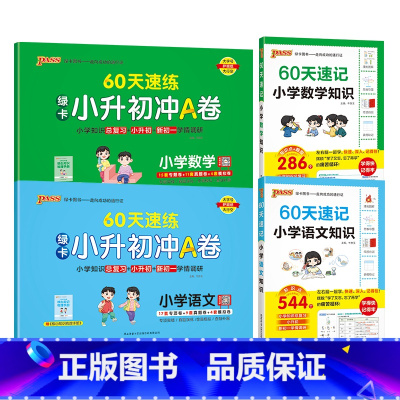 语文+数学[速记+速练]4本 小学升初中 [正版]60天速记小学语文知识小升初数学英语单词词汇六年级总复习基础重点知识大