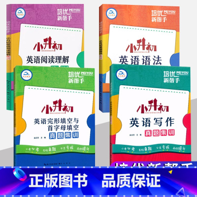 全套4本[小升初英语集训] 小学升初中 [正版]2024培优新帮手小升初英语阅读理解语法真题集训小学6六年级英语总复习专