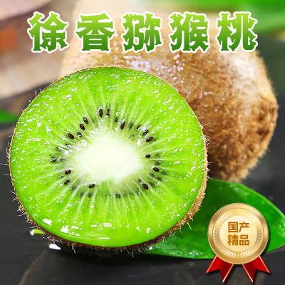 礼盒装[熊猫鸟]陕西徐香绿心猕猴桃 当季新鲜水果 净重4.5斤 24枚 精品 新鲜水果