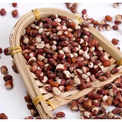 鑫牧盟豇豆/斤(散装分袋)