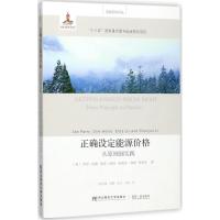 正确设定能源价格