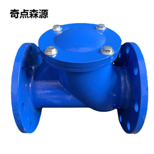 奇点森源 逆止阀 DN50 个
