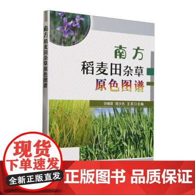 南方稻麦田杂草原色图谱 许燎原 陈少杰 王笑 稻麦田除草除草剂药效试验田间杂草调查 快速识别杂草习性危害科学防治提供技术