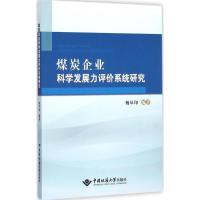 正版新书]煤炭企业科学发展力评价系统研究杨从印9787562536727