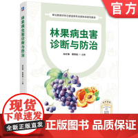 正版 林果病虫害诊断与防治 孙红艳 覃伟铭 果树病虫害防治 果树园艺 园林植物 机械工业出版社