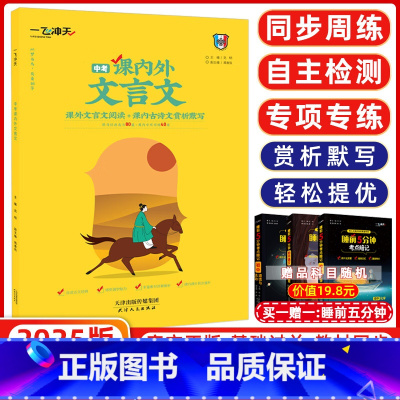 [正版]2025版一飞冲天课内外文言文中考 一飞冲天中考文言文品读古文经典感受国学魅力分类探究精解读链接考题巧演练 中