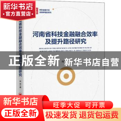 正版 河南省科技金融融合效率及提升路径研究/金融学精品系列/财