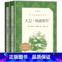 语文阅读推荐丛书:大卫.科波菲尔(全2册) [正版]大卫科波菲尔全套2册 查尔斯狄更斯 著人民文学出版社 书籍高中生版高