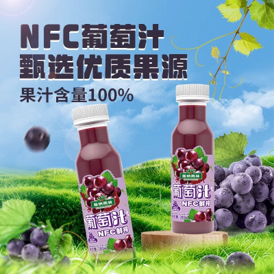 版纳雨林葡萄汁NFC100%纯果汁 无添加 280ml*12瓶 鲜果榨汁 富含维生素C和天然花青素 新鲜健康