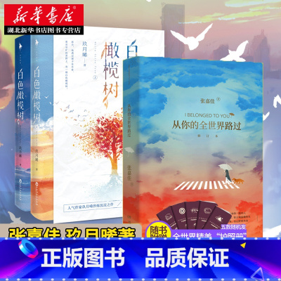 [正版]赠浪漫彩插+贺卡+后记 白色橄榄树+从你的全世界路过 共3册 玖月晞 张嘉佳著天堂旅行团青春文学都市情感故事言情