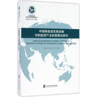 音像中国新能源发展战略与新能源产业制度建设研究周冯琦 等 著