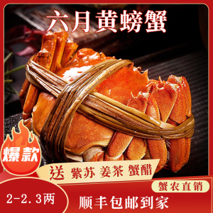 苏州精品大闸蟹鲜活六月黄螃蟹河蟹2两10只装公母随机大螃蟹鲜甜满黄直达到家死蟹包赔