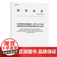 桥岛隧智能运维数据 基于无人平台的桥梁钢结构外表面病害检测评估与维养T/GBAS 64—2023