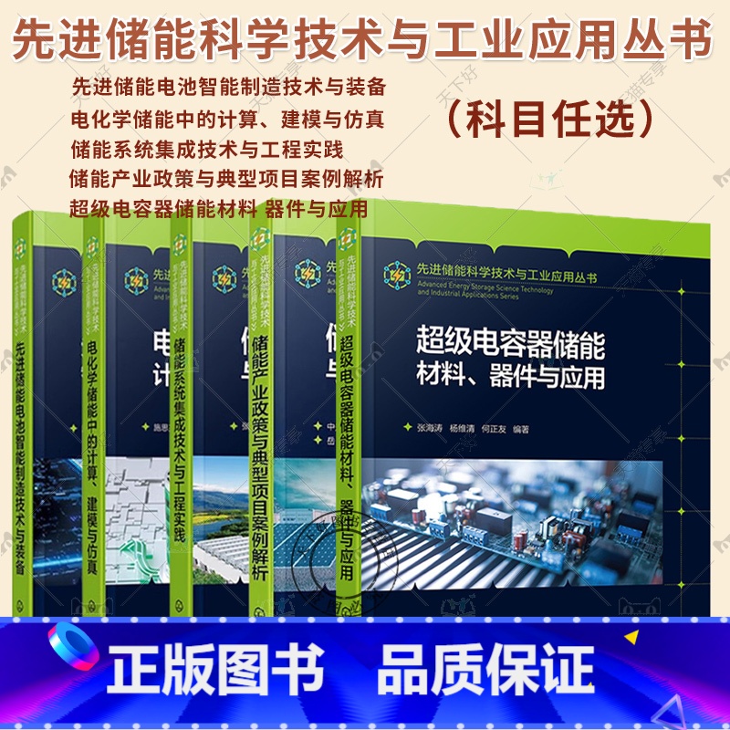 5册 先进储能科学技术与工业应用丛书 [正版]5本电化学储能中的计算建模与仿真+储能系统集成技术与工程实践+先进储能电池