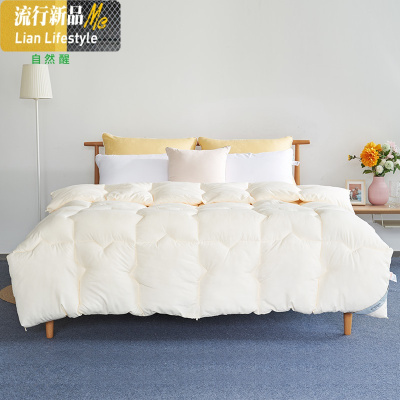 云柔棉被加厚双人保暖被芯春秋薄被学生被褥宿舍大号冬被子 三维工匠