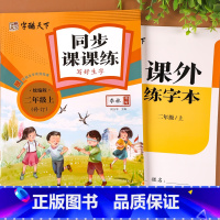 [同步课课练] 二年级上 [正版]二年级上册语文同步练字帖写字课课练人教版2年级上册字帖练字小学生硬笔书法临摹描红本看拼