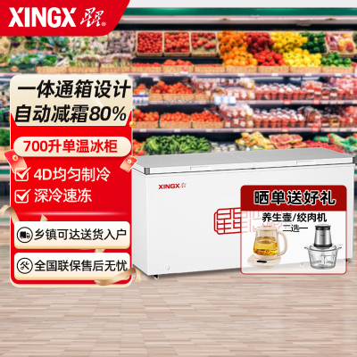 星星(XINGX)700升 商用冰柜冷藏保鲜强劲冷冻超市便利店大容量节能省电家商两用单温冷柜 BD/BC-700R