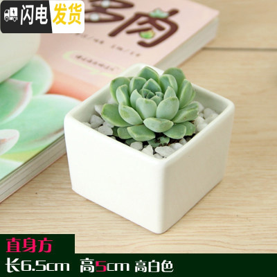 三维工匠多肉花盆白色陶瓷盆长方形肉肉植物简约白瓷多肉盆小绿植花卉盆器 圆角中方[6.5X6.5X5] 中等花盆容器
