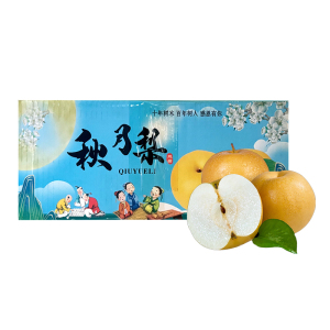 彩箱装[熊猫鸟]新鲜山东秋月梨 净重4.5斤单果250g+ 新鲜当季水果 现摘现发 香甜可口