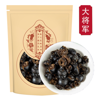 蜣螂250g克 屎壳郎 圣甲虫 大将军 清水蜣螂虫