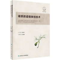 音像硬质胆道镜微创技术刘安重