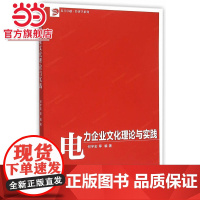卓越·经济学系列:电力企业文化理论与实践
