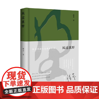 风过溪野 傅菲 著 文学