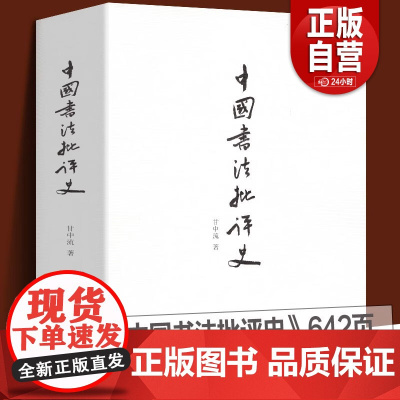 正版 中国书法批评史 甘中流 书法历史大全汉唐宋元明清朝文化艺术 追寻书法意义的历史解析书法书法技法篆楷行草碑帖研究理论