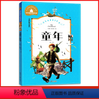 [正版]全新 童年 儿童彩图注音版 一二三年级学校课外阅读书 世界经典儿童文学少儿名著童话故事书