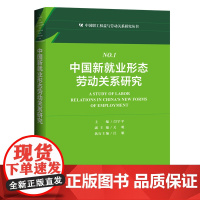 中国新就业形态劳动关系研究 闫宇平主编 劳动关系研究 新就业、共享经济、劳动权益、劳动关系 中国工人出版社店正版书籍
