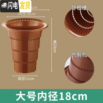 三维工匠透明兰花专用盆高透气双层控根塑料超紫砂陶瓷沥水罩兰花盆 口径18cm咖色兰花内盆[气剪孔] 中等花盆容器