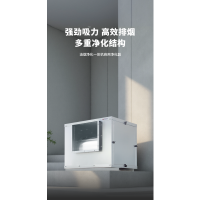 商用排油烟外转子风柜355L