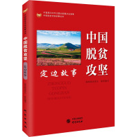 中国脱贫攻坚 定边故事