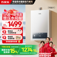 万家乐恒温王燃气热水器JSQ30-16P3 PRO(F)天然气一级恒温16升增压水伺服一级节能防冻以旧换新