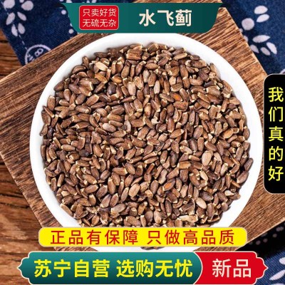 甄选水飞蓟100克新货煮水泡茶奶蓟草奶蓟干货正品干货另售丹参五味子