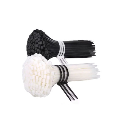 菲尔阿扎 PHIL ARZA 捆扎带 4*250mm/包