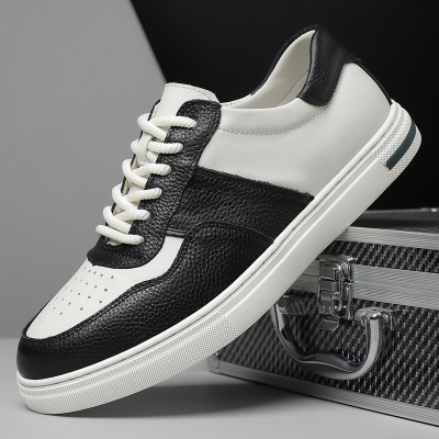 熊猫鞋春季新款休闲鞋子男潮鞋百搭潮流男款鞋韩版小白板鞋男