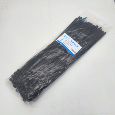 鸿泽宸 自锁式扎带 8.8*1000mm 根