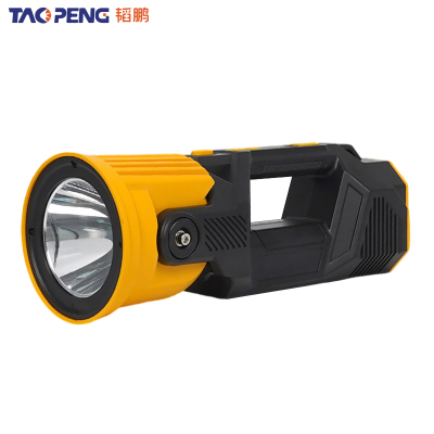 韬鹏 手电 小号 个