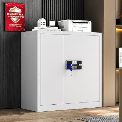 诚睿易邦保密柜密码柜保密文件柜密码锁办公柜矮柜钥匙锁无抽