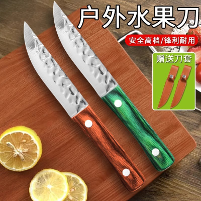 手工锻打刀锋利网红水果刀蒙古手把肉小刀户外便携刀具7163