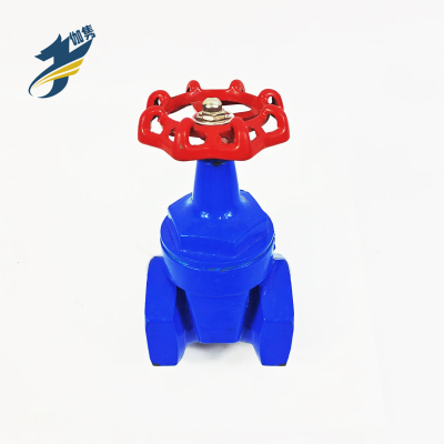 伽隽 铸铁截止阀 DN50 /个