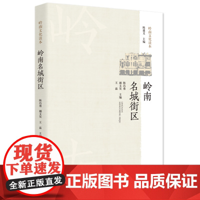 岭南名城街区 广东历史街区文化书籍梳理历史文化街区知识岭南文化读物