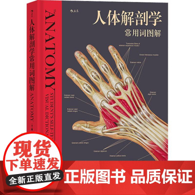 [精装]人体解剖学常用词图解 人体解剖学入门指导 解剖学术语释义词典图解涂色练习医学书籍奈特人体解剖学彩色图谱书籍