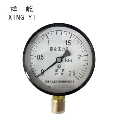 祥屹+膜盒压力表检测定制型+YE60+块