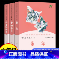 3本]六年级上册人教版 [正版]童年书高尔基爱的教育小英雄雨来原著人民教育出版社六年级上册必读课外书快乐读书吧汤姆鲁滨逊