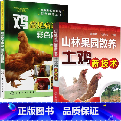 [正版]山林果园散养土鸡新技术+鸡常见病诊治彩色图谱 养鸡技术书及用药散养鸡饲料手册鸡病鉴别诊断图谱大全蛋鸡肉鸡高效养